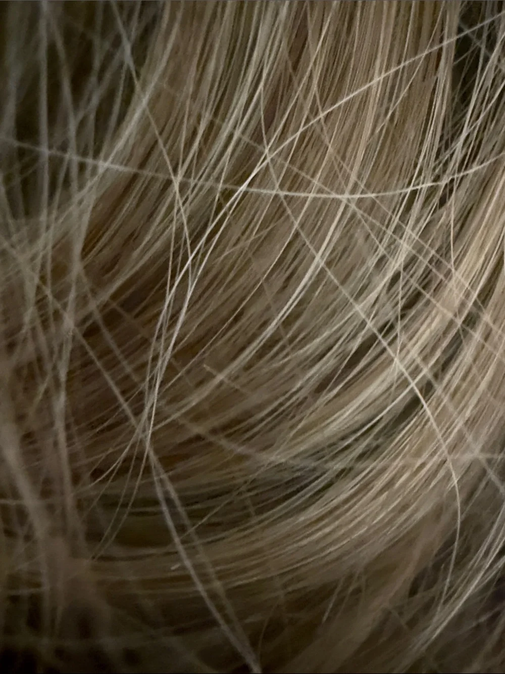 INH Mid-Length Clip-In Ponytail Extension - Ashe Blonde Highlights